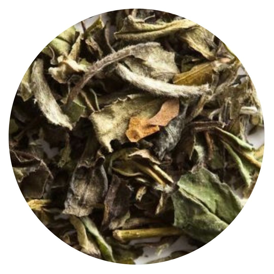 Bai Mudan White Tea