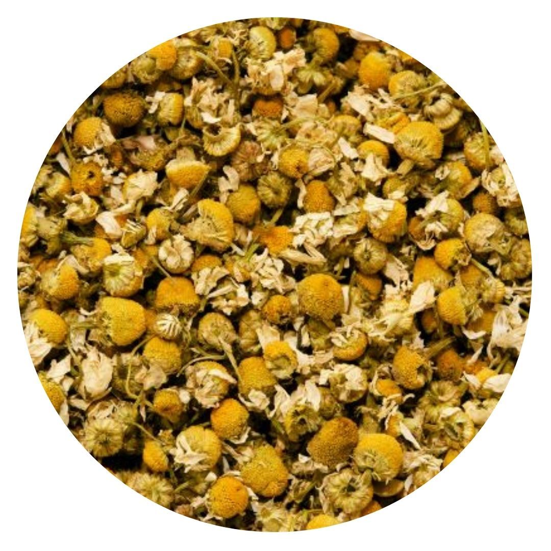 Chamomile - Herbal Tea