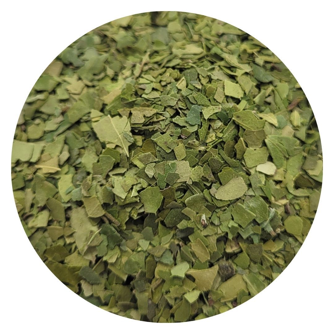 Native Yaupon Tea